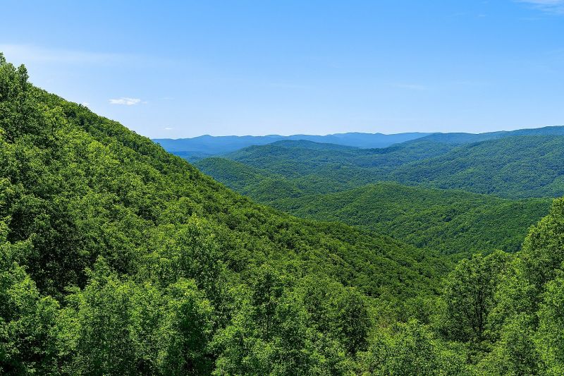 Best Shower Installation pros in Ellenwood, GA